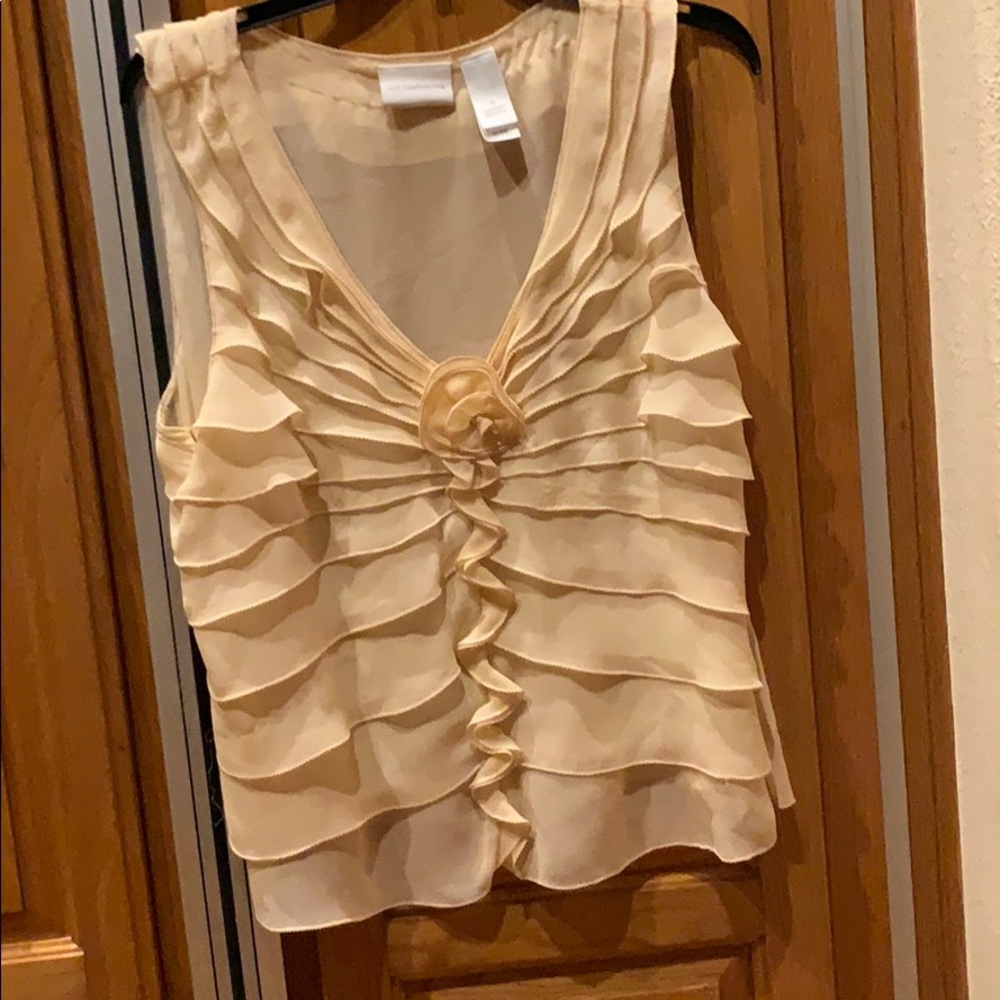 Tan sheer sleeveless blouse - Picture 1 of 6